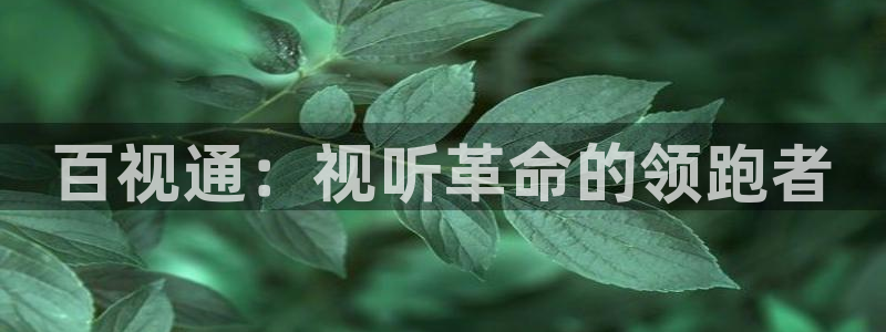 草民在线影院：百视通：视听革命的领跑者
