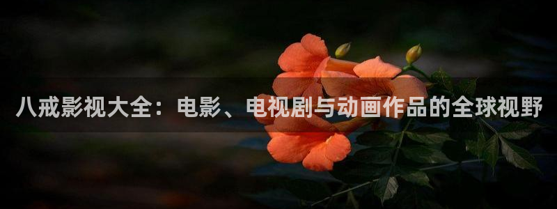 神马影院第九草民电影：八戒影视大全：电影、电视剧与动画作品的全球视野