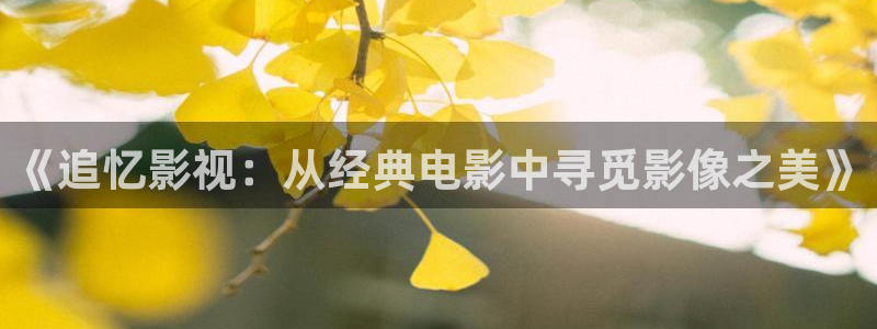 草民影视城：《追忆影视：从经典电影中寻觅影像之美》