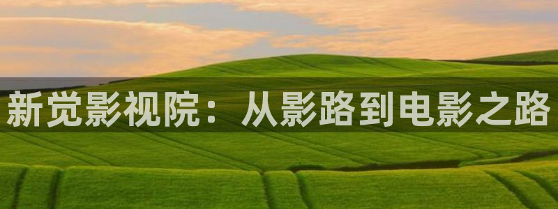 草民影院a级片：新觉影视院：从影路到电影之路