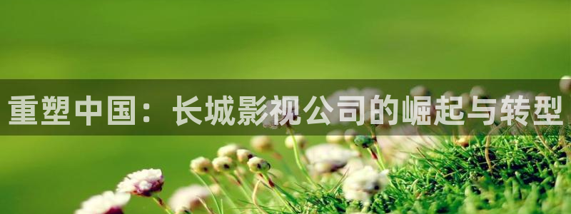 ppypp草民电影院：重塑中国：长城影视公司的崛起与转型
